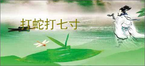打蛇打七寸