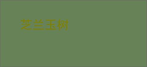 芝兰玉树