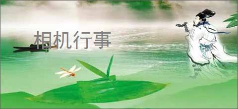 相机行事
