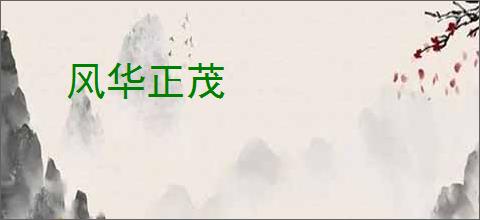 风华正茂